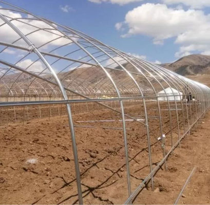 Shading Rate 20%-90% Plastic Sheeting Greenhouse For Strawberries