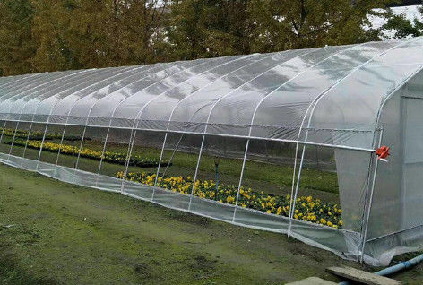 Shading Rate 20%-90% Plastic Sheeting Greenhouse For Strawberries