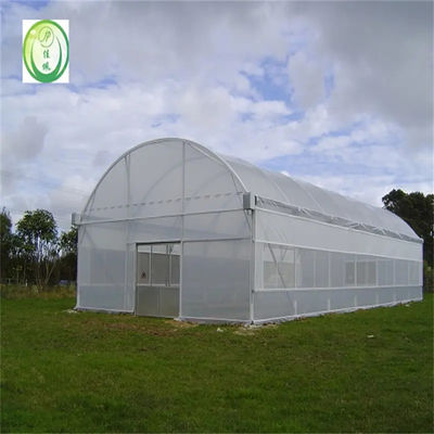Anti Drip Plastic Film Greenhouse Light Transmission 80%-90%
