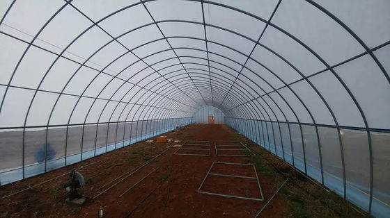 Shading Rate 20%-90% Plastic Sheeting Greenhouse For Strawberries
