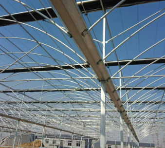 Venlo Transparent Glass Multi Span Greenhouses With High Light Transmission