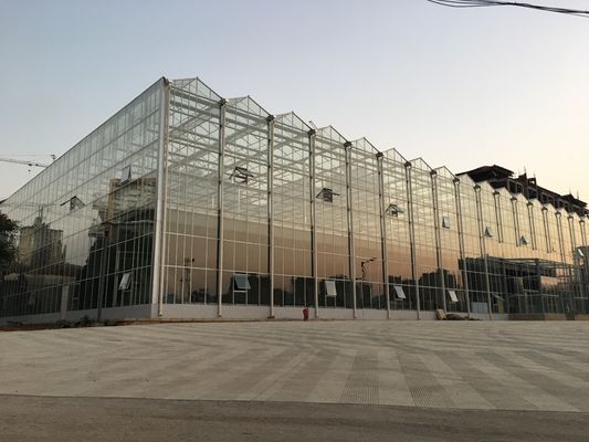 Venlo Transparent Glass Multi Span Greenhouses With High Light Transmission