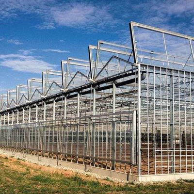 Venlo Transparent Glass Multi Span Greenhouses With High Light Transmission