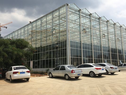 Venlo Transparent Glass Multi Span Greenhouses With High Light Transmission