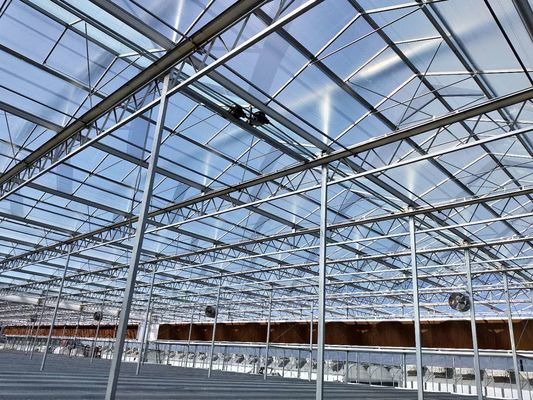 Venlo Transparent Glass Multi Span Greenhouses With High Light Transmission