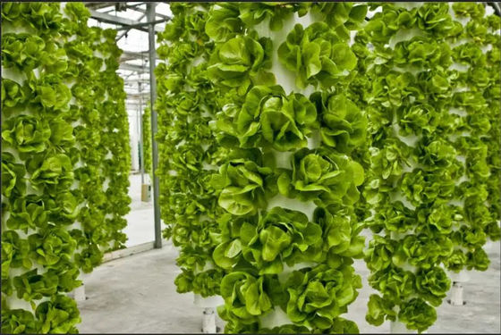 PE / Food Grade PVC Cover Indoor Hydroponic Aeroponic Growing Towers