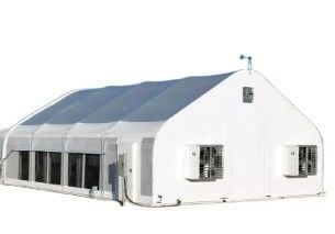 Single Span Tunnel 100% Automated Blackout Greenhouse With Hydrophobic System