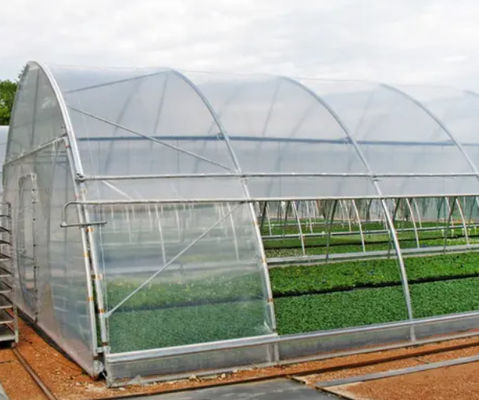 OEM ODM Plastic Sheeting Rolls Greenhouse Anti Aging Anti Fog