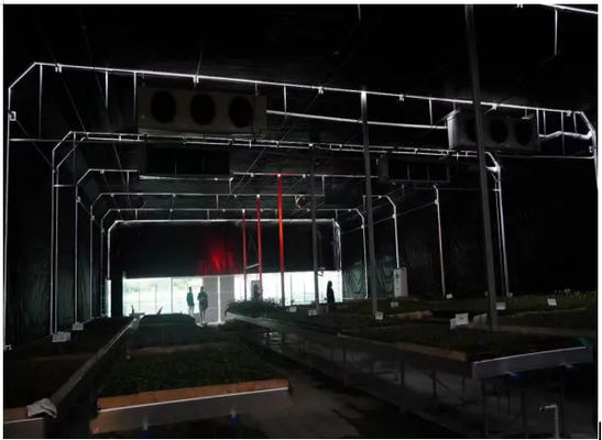 100% Blackout Agricultural Light Deprivation Greenhouses PE Film Cover