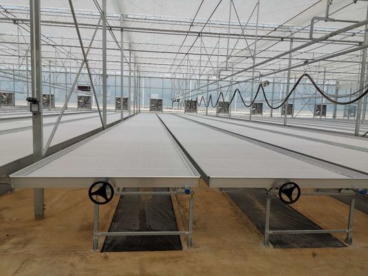 Hydroponic Trays Greenhouse Benches Ebb And Flow Rolling Benches 3mm