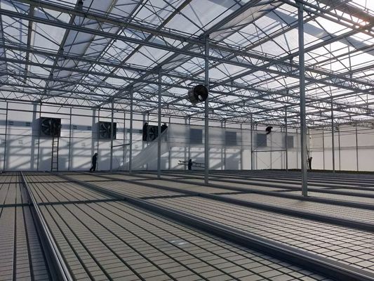 Hydroponic Trays Greenhouse Benches Ebb And Flow Rolling Benches 3mm