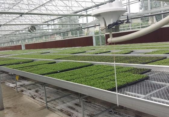 Hydroponic Trays Greenhouse Benches Ebb And Flow Rolling Benches 3mm