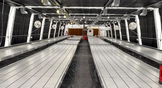 Agricultural 100% Automated  Light Deprivation Greenhouse With Blackout System