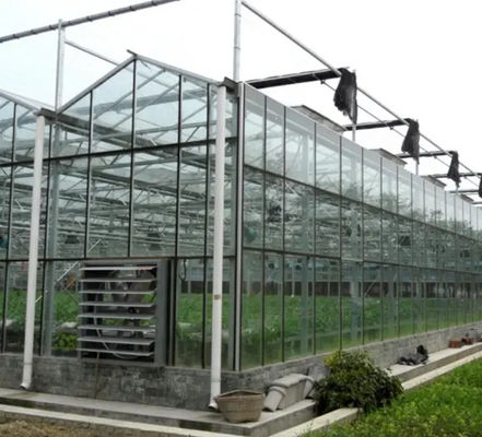 Hydroponics System Multi Span Glass Greenhouse Aeroponic Tower Garden