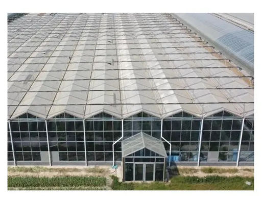 Galvanized Steel Agricultural Glass Greenhouse Venlo / Gothic
