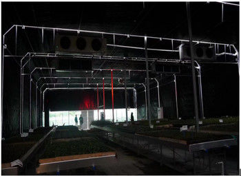 Medicinal Plants Light Deprivation Greenhouse Auto Blackout Greenhouse Span Width 9.6m