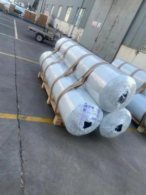 Single Span Tunnel Plastic Film Agricultural Greenhouse High Disaster Resistance