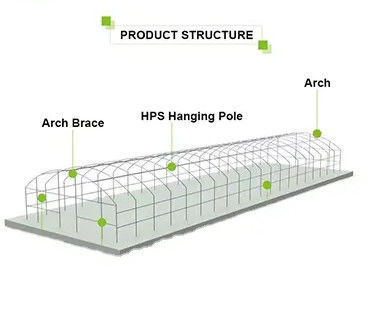 Single Span Tunnel Plastic Film Agricultural Greenhouse High Disaster Resistance
