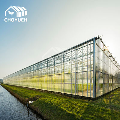 XXL Rectangular Hydroponics Greenhouse With Glass Walls