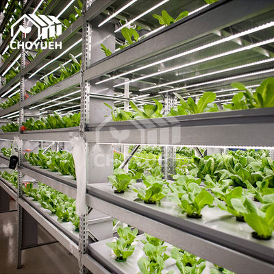 Hydroponic Multi Layer Vertical Grow Shelf System ABS Cover