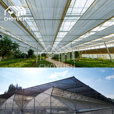 XXL Rectangular Hydroponics Greenhouse With Glass Walls
