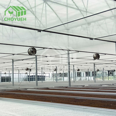 XXL Rectangular Hydroponics Greenhouse With Glass Walls