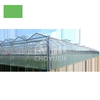 8mm All Glass Greenhouse For All Weather Wind Resistance