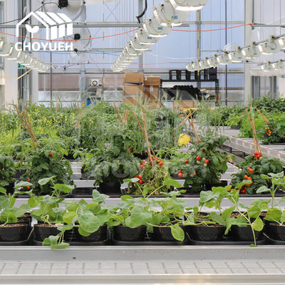 1.2mm Aluminum Greenhouse Benches Anodizing Load Capacity 100kg/M2