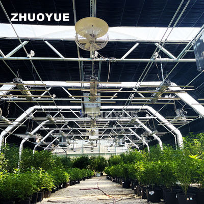 Mushroom Light Deprivation Greenhouse With Hot Dip Galvanized Steel Pipe