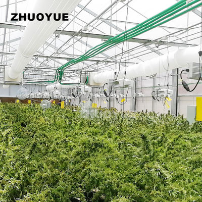 Complete Blackout Pest Control Light Deprivation Greenhouse With Automatic Monitoring System
