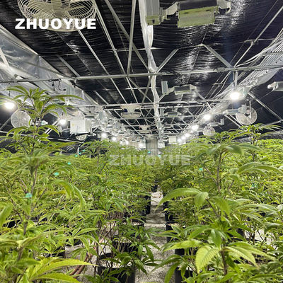 Efficient Automation for Light Deprivation Protected House with Watering System