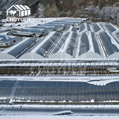 4mm Glass Greenhouse Utilizing Solar Heat For Optimal Light Transmission