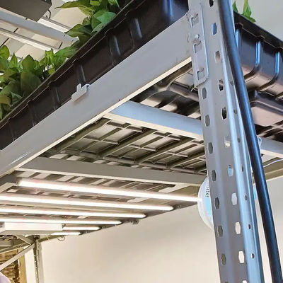 Hot Galvanized Steel Frame Vertical Grow Rack Hydroponic Grow Shelves 8/16/24/32ft