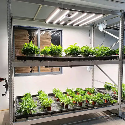 Hydroponic Multi Layer Vertical Grow Shelf System ABS Cover