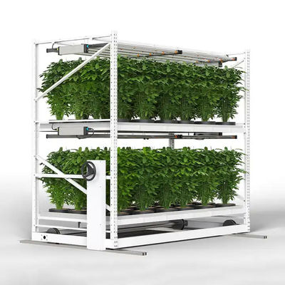 Greenhouse Hydroponic Vertical Farming Racks Mobile Vertical Grow Racks OEM ODM