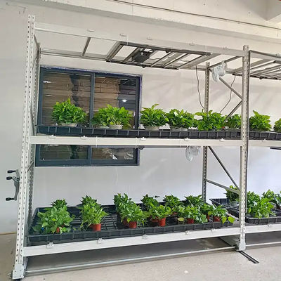 Hot Galvanized Steel Frame Vertical Grow Rack Hydroponic Grow Shelves 8/16/24/32ft