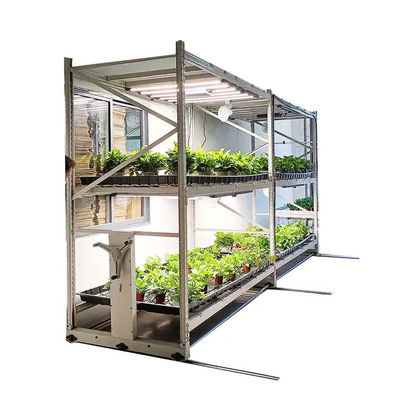 Hot Galvanized Steel Frame Vertical Grow Rack Hydroponic Grow Shelves 8/16/24/32ft