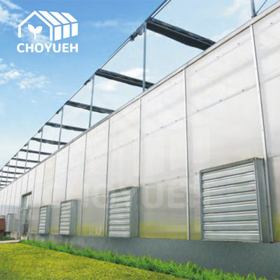 Versatile Polycarbonate Sheet Greenhouse Weather Resistance Customization