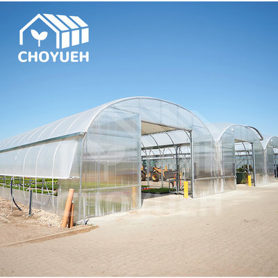 Hot Dip Glavanized Steel Polytunnel Greenhouse 10X30m Single Span