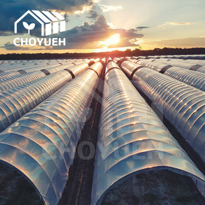 Single Span PE Film Tunnel Greenhouse With Galvanized Steel Frame