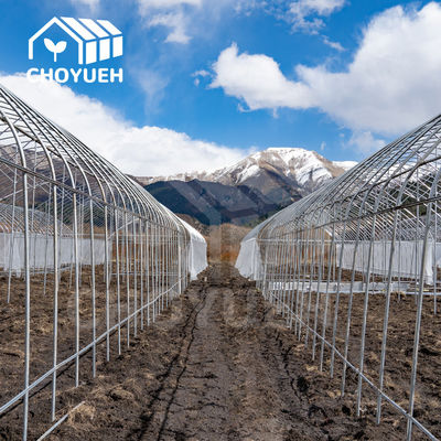Polytunnel Plastic Film Greenhouse For Growing Strawberry Vegetables Flowers Fruits