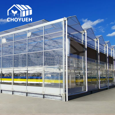 Roof Ventilation Plant Commercial Glass Greenhouse With Inner Shading System