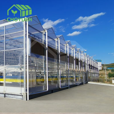 Roof Ventilation Plant Commercial Glass Greenhouse With Inner Shading System