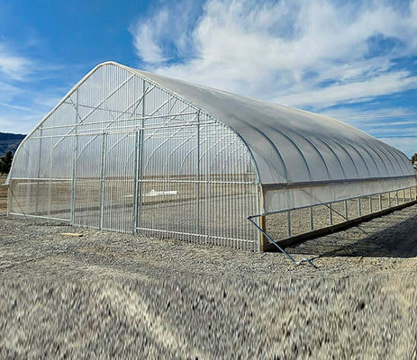 Hot Dip Glavanized Steel Polytunnel Greenhouse 10X30m Single Span