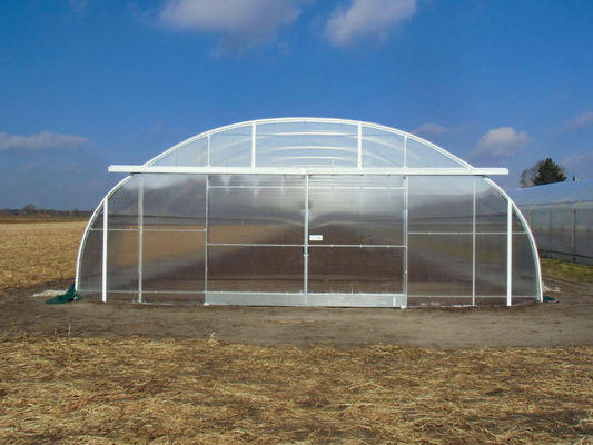 Galvanized Steel Tunnel Greenhouse with >90% Light Transmittance