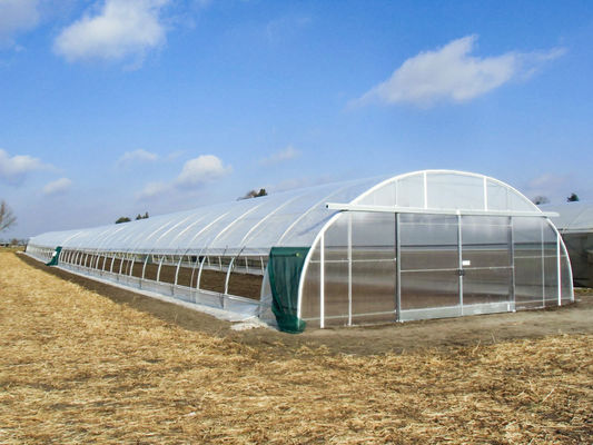 Galvanized Steel Tunnel Greenhouse with >90% Light Transmittance