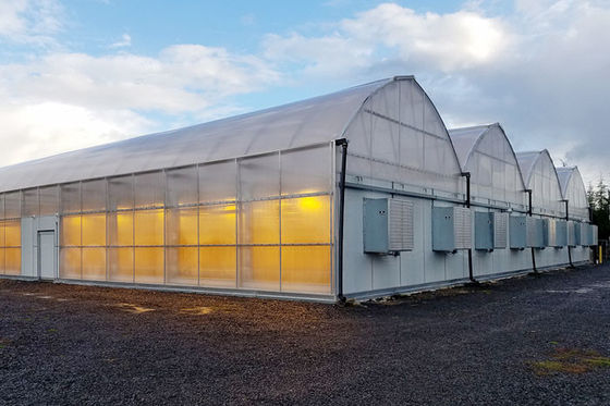 Pc Sheet Covering High Tunnel Light Dep Hoop House Stable Structure Easily Assembled