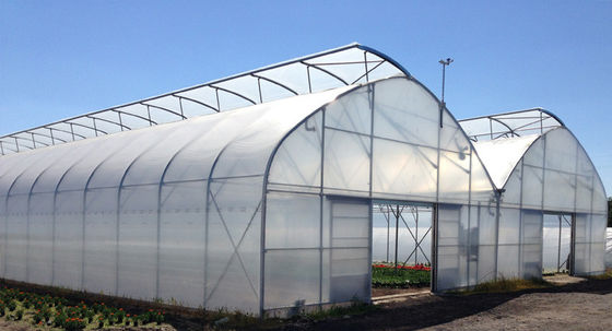 Transparent Plastic Film Greenhouse UV Resistant Anti Aging Anti Fog Anti Dust Customizable Sizes
