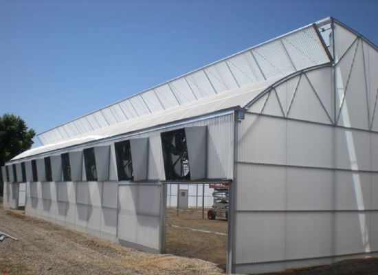 Silver Single Span Separate Stretch Greenhouse OEM ODM