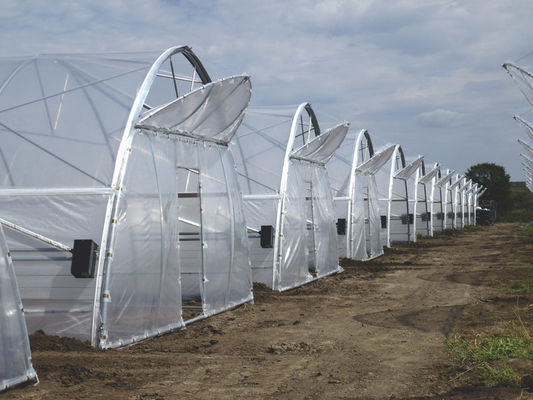 Steel Single Span Greenhouse With PE Film High Disaster Resistance